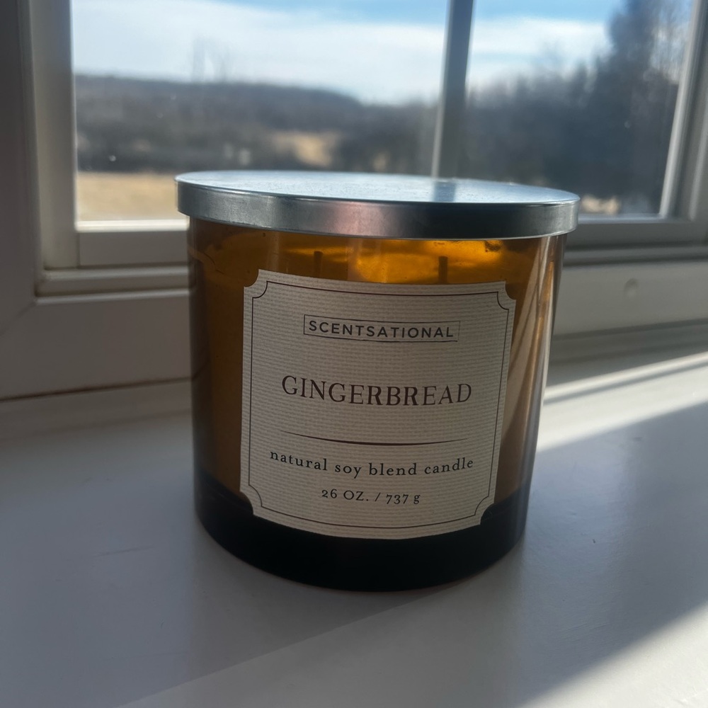 Scentsational Gingerbread 3 Wick Candle